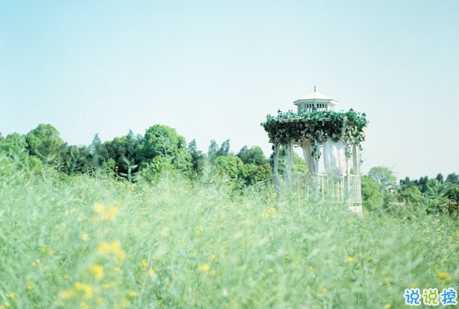 經(jīng)典有道理的說說帶圖片：我讀過很多書，但后來大部分都被我忘記了2