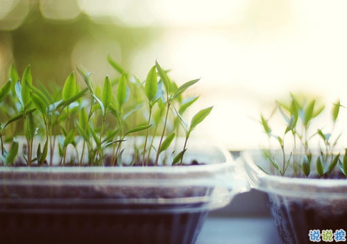 向女朋友求婚的話真實(shí)浪漫點(diǎn) 2019求婚句子大全簡(jiǎn)單帶圖片1