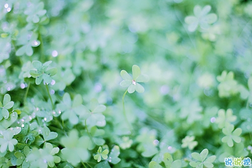 2019年抖音個性說說大全 非常有意思的個性說說帶圖片12