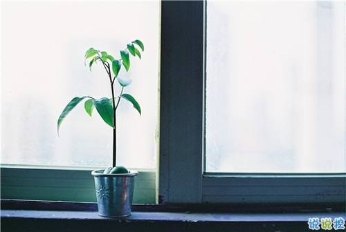 晚安句子大全簡單正能量 睡覺前致自己的勵志句子1