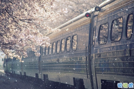 感悟生活的早安心情說(shuō)說(shuō) 陽(yáng)光這么好別辜負(fù)了今天15