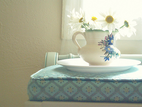 有哪些詩歌讀到后心里像開出了一朵花？15