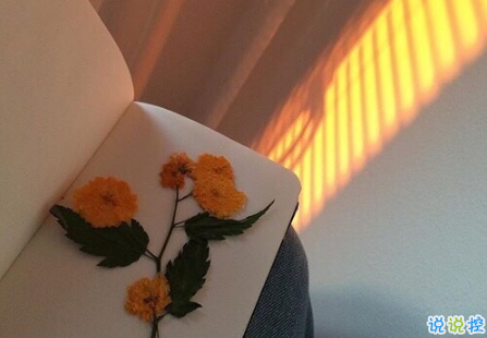 微信勵志早安語加圖片最新 朋友圈早安心語正能量配圖文字2