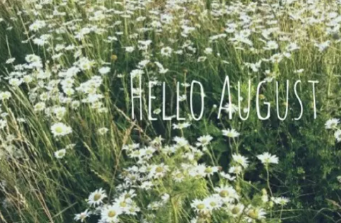 再見(jiàn)七月八月你好圖片說(shuō)說(shuō)2018最新版 唯美好聽(tīng)的八月你好說(shuō)說(shuō)配圖5