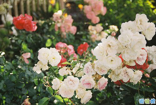 2018正能量的奮斗經(jīng)典說說配圖 簡單霸氣的勵志說說201812