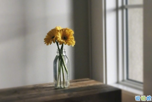 很扎心但很有道理的勵(lì)志說(shuō)說(shuō)帶圖片 激勵(lì)人心的很現(xiàn)實(shí)的一句話說(shuō)說(shuō)10