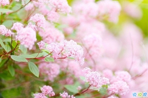 2019戳破人心的傷感說(shuō)說(shuō)合集 超扎心的一句話說(shuō)說(shuō)2