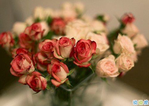 15條愛(ài)情說(shuō)說(shuō)我的心里話 愛(ài)情中最真實(shí)的感受說(shuō)說(shuō)配圖9