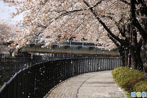 14條很美很好聽的文藝唯美說說帶圖片 森系文藝范古風(fēng)說說3