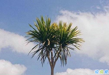 2019勵(lì)志早安問候語 最新早安心語一句話1