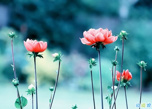 2019春分朋友圈早安祝福語帶圖片 春分唯美說說簡單一句話3