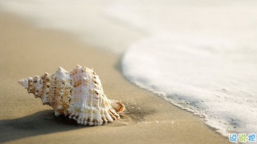 2019年二月你好早安朋友圈說說 再見一月你好二月唯美說說配圖8