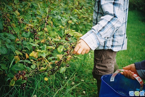 齁死人的情侶間情話合集 抖音最美情話短句精辟好聽(tīng)1