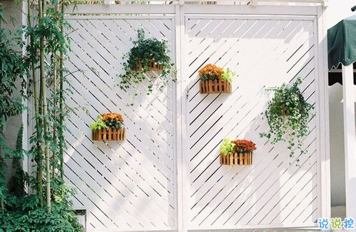 抖音上很火的31句個性說說 文字控喜歡的抖音上很火的個性說說2