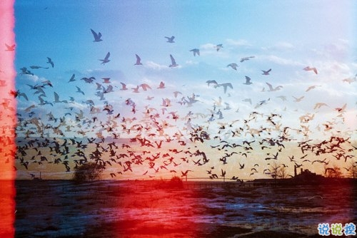 讓人瞬間紅了眼眶的歌詞傷感難過(guò)圖片說(shuō)說(shuō) 人生若如初見(jiàn)7