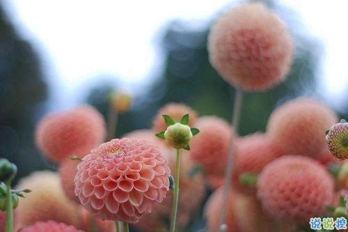 獨(dú)一無(wú)二的qq個(gè)性說(shuō)說(shuō)帶圖片 充滿陽(yáng)光的經(jīng)典說(shuō)說(shuō)201915