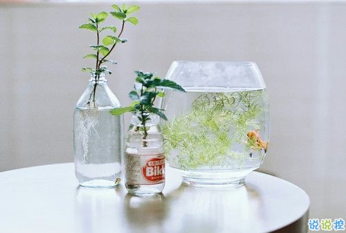 帶圖片的勵(lì)志說(shuō)說(shuō)人生感悟 別辜負(fù)了你的野心也別對(duì)不起你受的苦12