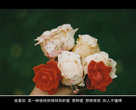 超傷感難過悲傷的愛情說說 你是我枯水年紀里的一場雨11