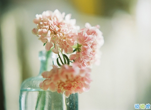 2019元宵節(jié)微信短信祝福語大全 元宵節(jié)送祝福的好聽優(yōu)美句子2