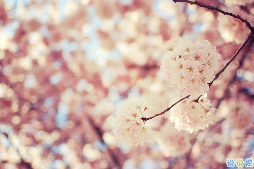 深入人心的哲理句子精辟簡短 人生很迷茫指引方向的哲理句子1