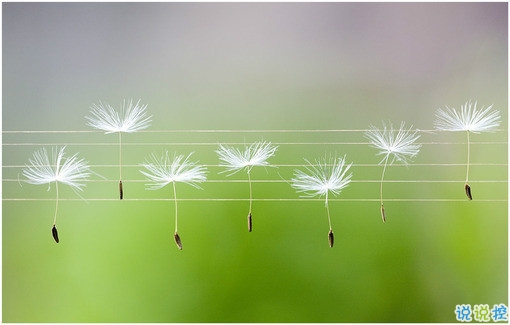 長(zhǎng)大變成熟了的經(jīng)典說說配圖 微信經(jīng)典說說現(xiàn)實(shí)人生感悟帶圖片 11