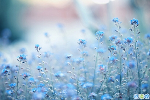 心好累的傷感說(shuō)說(shuō)非主流帶圖片 喜歡一個(gè)人卻得不到的悲傷說(shuō)說(shuō)4