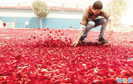 表示無(wú)聊的朋友圈說(shuō)說(shuō)帶圖片：無(wú)聊，是人生的一種正?，F(xiàn)象12