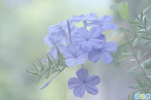 個性霸氣勵志短語說說大全 比較成熟有內涵的個性說說15