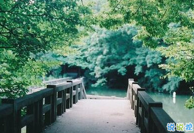 承蒙你出現，夠我喜歡好多年9