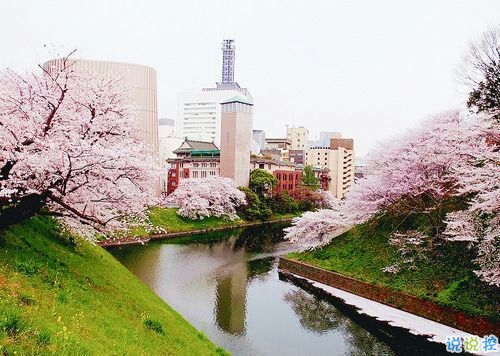 2019非主流經(jīng)典愛情說說帶圖片 很打動人的一些愛情真理2