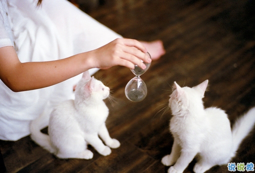 適合早晨發(fā)的說說早安心語 每天清晨叫醒你的應(yīng)該是你的夢想12