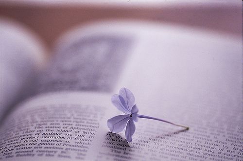 關(guān)于愛情的經(jīng)典說說 有些愛只能止于唇齒掩于歲月1