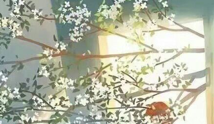 唯美優(yōu)美的文藝說說帶圖片 是我如今焚琴煮鶴忘了曾經風花雪月12