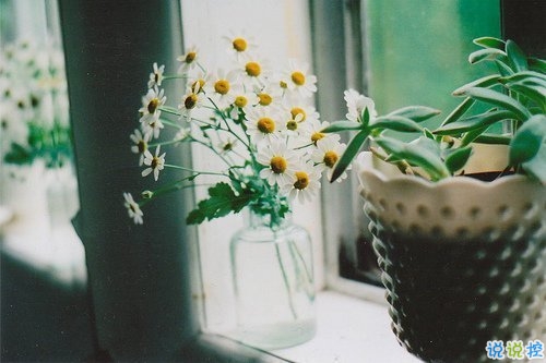 2019全新勵志說說致自己帶圖片 能引起共鳴的哲理說說2