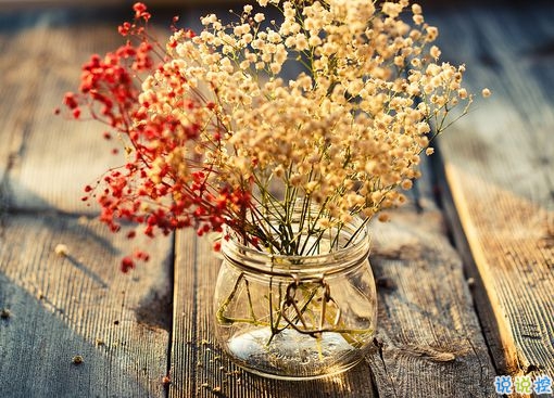 對(duì)愛一往情深的經(jīng)典說(shuō)說(shuō)帶圖片 文藝愛情小短句表達(dá)愛意12