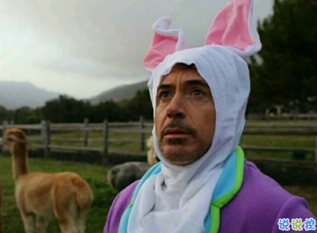 七夕情人節(jié)發(fā)什么說說搞笑 2018七夕發(fā)朋友圈搞笑說說段子加配圖14