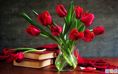 2019關(guān)于春分的微信說說帶圖片 春分節(jié)氣早安祝福語12