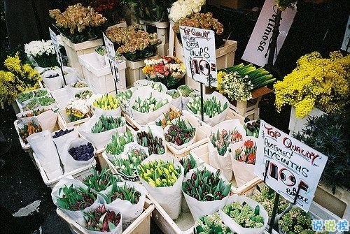 有些傷感的關(guān)于人生和成長(zhǎng)的說說帶圖片 生活的本質(zhì)就是離別10