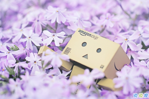 2019抖音經(jīng)典愛情說說帶圖片 長大后逐漸懂得的愛情道理5