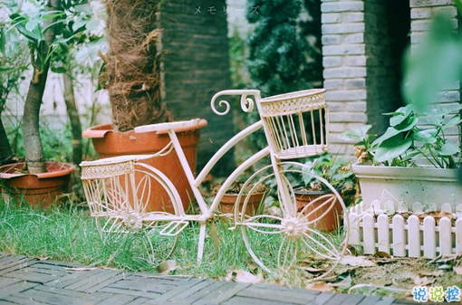 充滿少女心的浪漫愛(ài)情說(shuō)說(shuō)帶圖片 好聽(tīng)簡(jiǎn)約有詩(shī)意的說(shuō)說(shuō)合集8