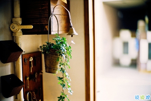 感悟人生的正能量句子帶圖片 你走過的彎路都是通向正軌的必經之路13