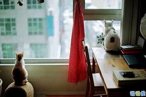 戀愛(ài)中的甜蜜溫暖小情緒說(shuō)說(shuō)帶圖片 跨越大半個(gè)地球與你相見(jiàn)6