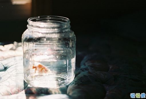 很真實(shí)的愛情感悟帶圖片 深有感觸的經(jīng)典愛情說(shuō)說(shuō)配圖3