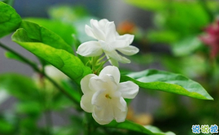 表示無(wú)聊的朋友圈說(shuō)說(shuō)帶圖片：無(wú)聊，是人生的一種正常現(xiàn)象13