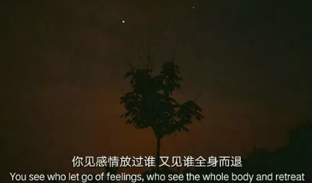 傷感句子表達(dá)心情失落長句 無人待我情自深無人伴我立黃昏3