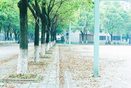 關(guān)于愛情感情的感悟有哲理深意的精辟說說帶圖片7