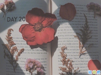 心很累的傷感說說很難受 很現(xiàn)實很深奧的說說一個人失落2