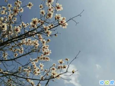 微信朋友圈文藝小短句帶圖片 好聽(tīng)文藝范說(shuō)說(shuō)句子11