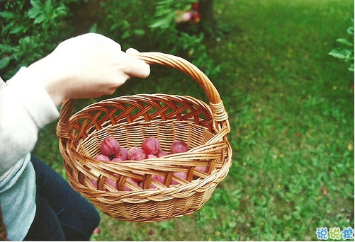 最近很火爆的哲理的句子合集 激勵(lì)人心的簡(jiǎn)短哲理句子1