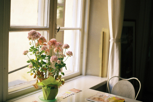 超經(jīng)典的關(guān)于人生和成長的激勵你前行的正能量說說帶圖片7